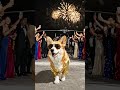 Celebrity dog. #ai #aiart #aishorts #aishorts #aivideo #animation #wildlife #artbreeder #artflowai
