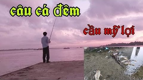 Câu cá cầu Mỹ lợi - tập 3 câu được cá ngát trắng