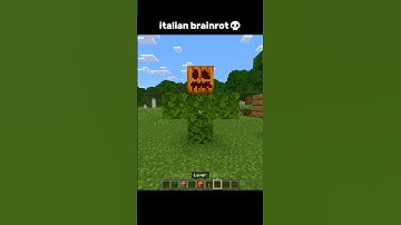 Minecraft Italian Brainrot Moment