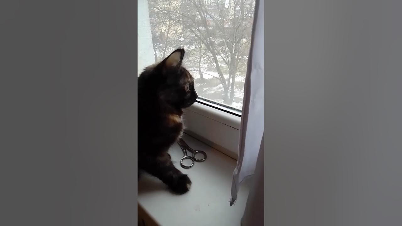 телек! - YouTube