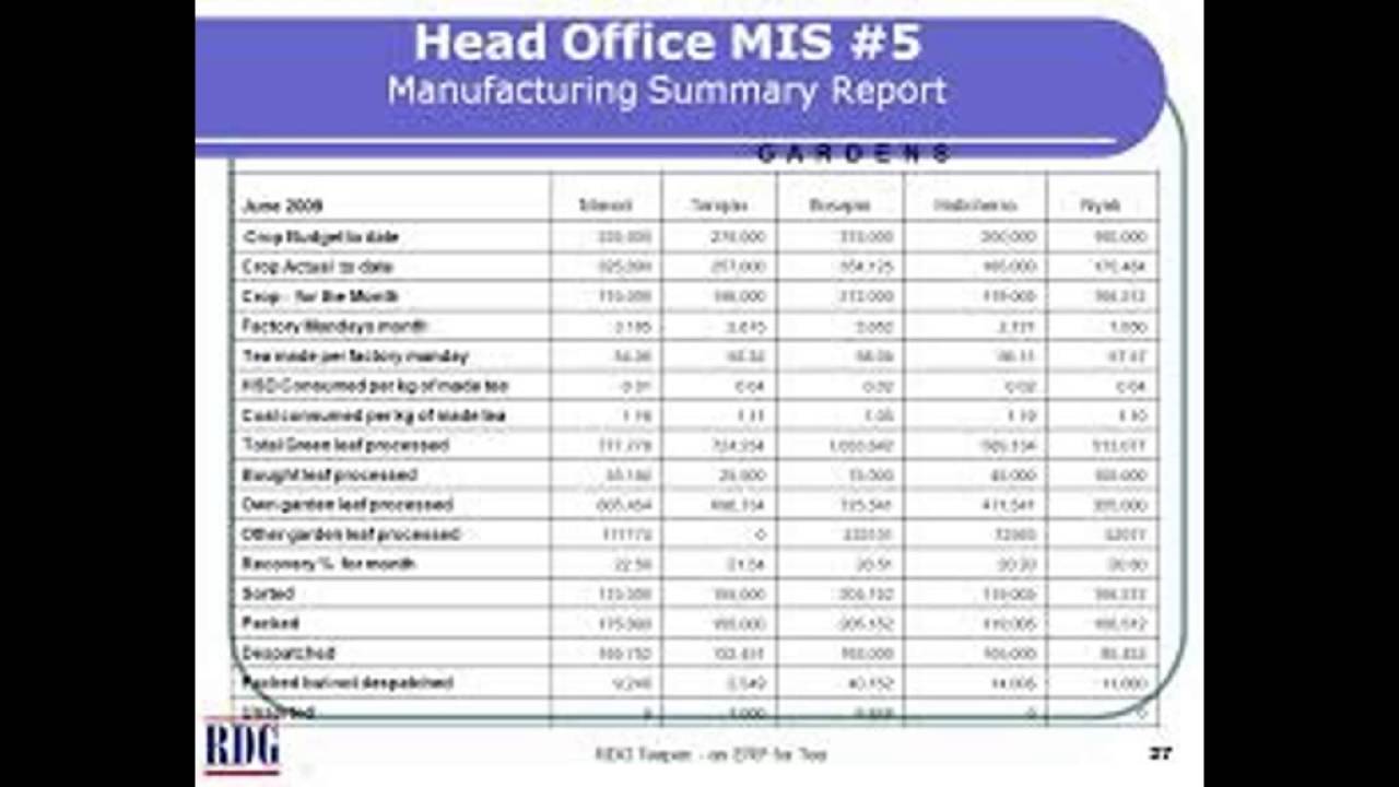 Mis Report Format In Excel For Accounts Youtube