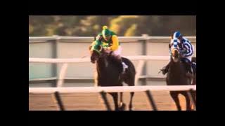 Secretariat final race