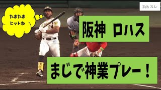 【野球】2022.7.7　阪神　ロハス　神業プレー‼‼‼