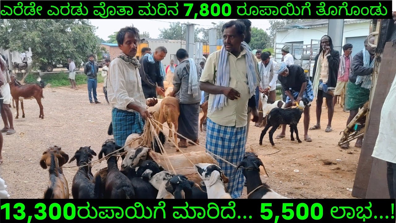 ಮರೀಲಿ ಇಷ್ಟೊಂದ್ ಲಾಭಸಿಗುತ್ತೆ ಅನ್ನೋದಾದ್ರೆ ಯಾಕ್ ಸಿಟಿಗಳಿಗೆ ದುಡಿಯೋದಕ್ಕೆ ಹೋಗ್ಬೇಕು...?@NFORNANDIKANNADA 