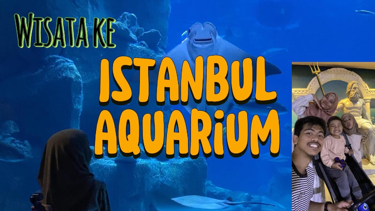 Wisata Keluarga ke Istanbul Aquarium Turki | İstanbul Akvaryum Florya