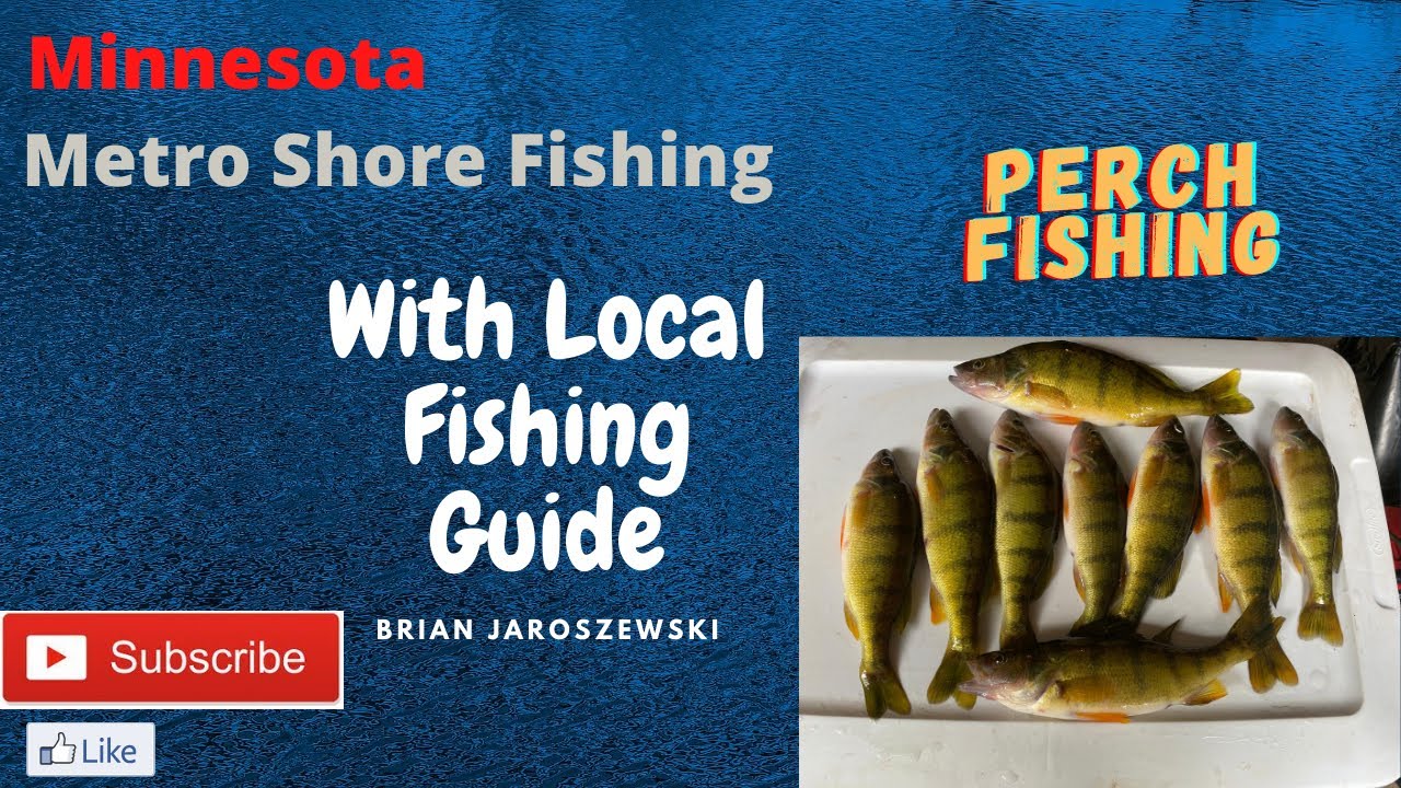 Jumbo Perch Fishing Summer Minnesota Metro Lake (Easy) YouTube