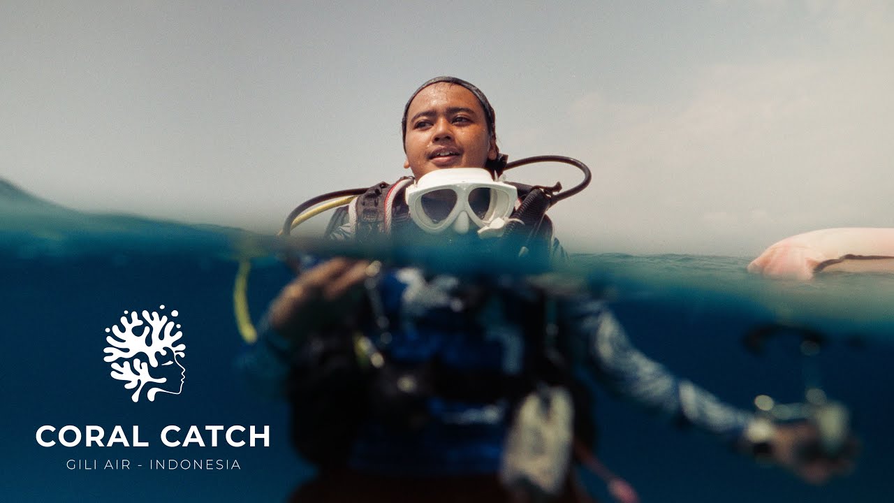 CORAL CATCH - Indonesian women leading coral reef restoration