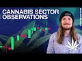 Cannabis sector observations
