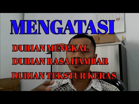 Cara Biar Durian Montong Cepat Matang