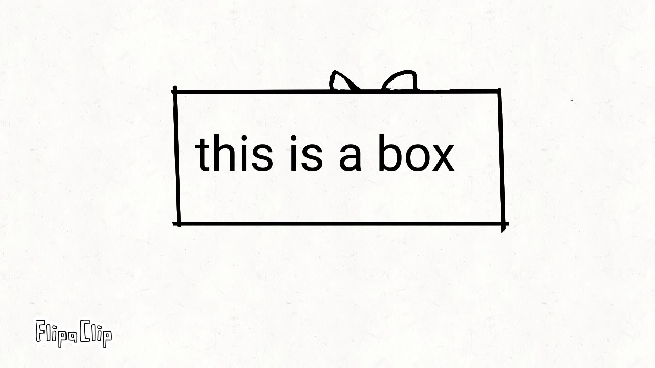 Cat in a box YouTube