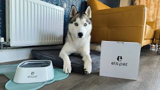 Els Pet Splash Proof Floating Water Bowl - Loki's new water bowl #lokithesiberianhusky #husky