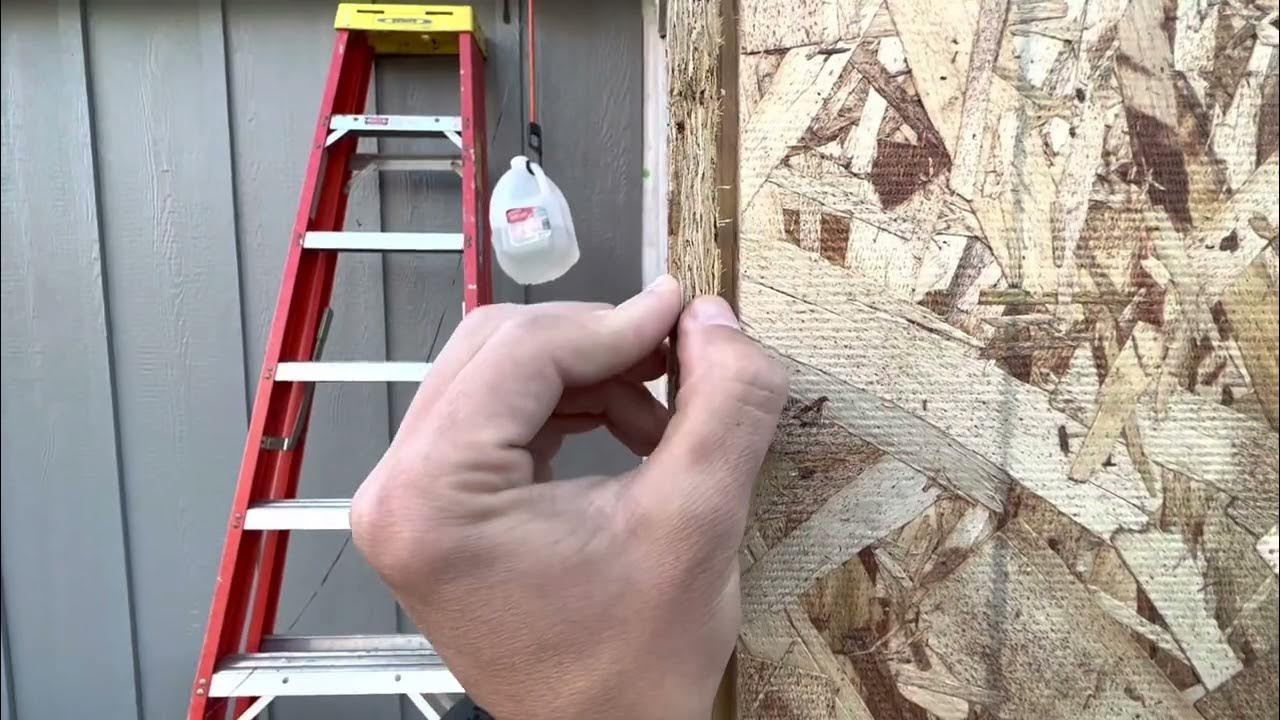 OSB sheathing in the weather! How does it hold up? YouTube