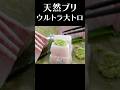 天然ブリわずか2％しか取れないウルトラ大トロを食す！　#shorts #ぶり #捌き #刺身 #大トロ