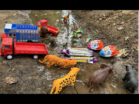 Gadi Wala Cartoon | cartoon aaja | Toys WOW | tractor wala cartoon