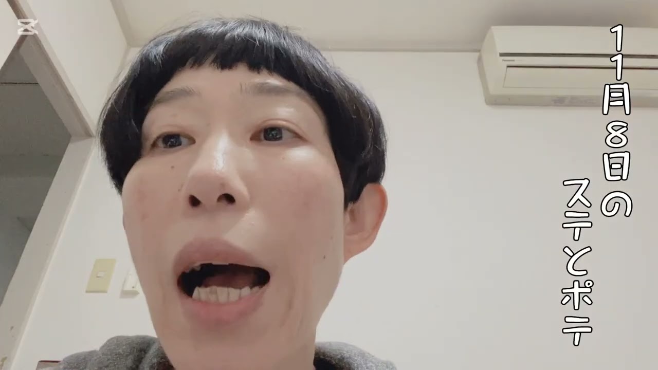 【44歳独身女芸人】11月7日と11月8日のステテコとポテ太郎 #牧野ステテコ #だんご #アイス