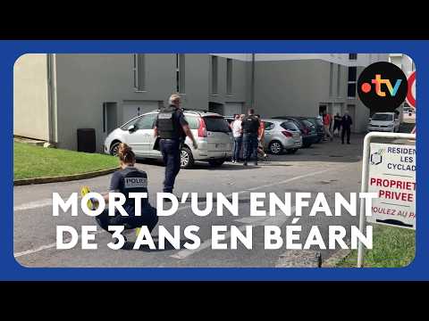 Fatal Accident in School Parking Lot: The Driver’s Trial