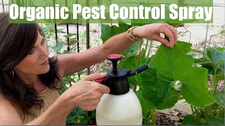 Organic Pest Control Spray for Your Vegetable Garden for Aphids & Chewing Insects