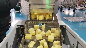 The one foam vision counting machine for VB224-2