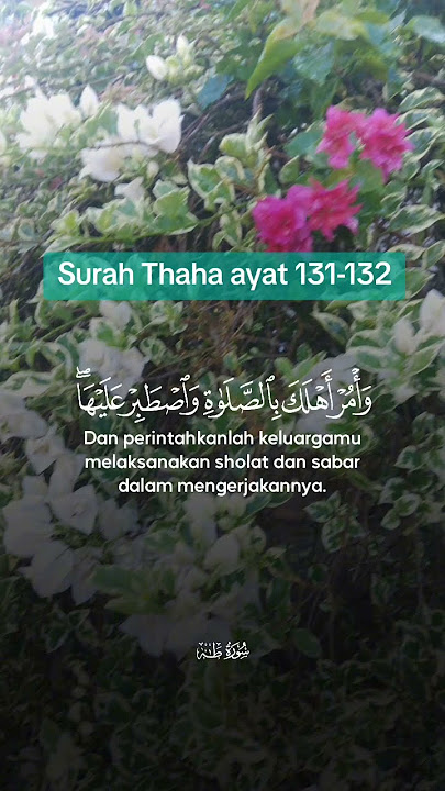 Surah Thaha ayat 131-132 #alquran #thaha #surah20 #shorts #jangkauanluas