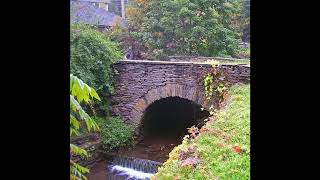 Tetrahedron - One 2024