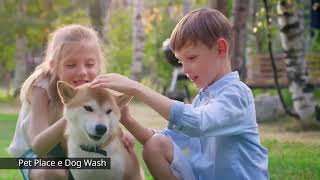 VID-20190906-WA0023.mp4