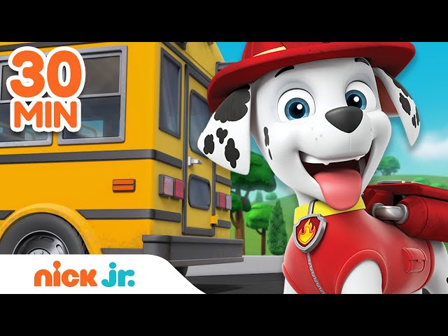 PAW Patrol Back to School Rescues & Adventures! | 30 Minute Compilation | Nick Jr. class=