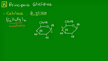 Como é que os ruminantes digerem a celulose?