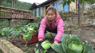 Renovate Vegetable Garden, Uproot Wildflowers - Sow Vegetable Seeds - Building Farm Life by Dao Farm Life 1,725 views 2 months ago 19 minutes