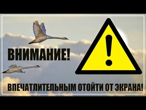 Video: Pyramider I Alaska. Tina Ut Gåtor - Alternativ Vy