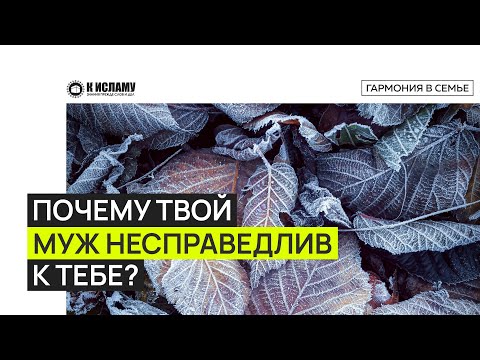 Почему правитель, твой отец или муж несправедливы к тебе? Ринат Абу Мухаммад