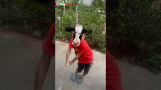 BiBoBen Family | Funny dance cover | Cows melody 🐄🐄🐄