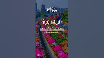 سورة القيامه،كلا اذا بلغت التراقى