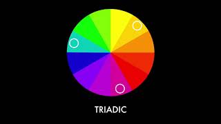 Celebrity Explainer Video: Color Theory Made Easy Wealth