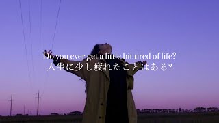 [和訳] Numb Little Bug - Em Beihold