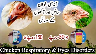 Dust Storm and Our Chickens | Eye Drops For Chickens | Bronchodilators For Respiratory Problems