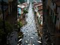 Rain of Fish: The Strange Phenomenon in Honduras 🌧️🐟