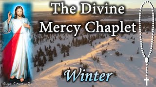 Divine Mercy Chaplet in Winter (Virtual)