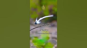 #سورة غافر #Ghafir#