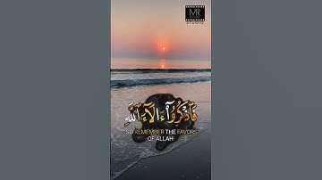 فَٱذْكُرُوٓاْ ءَالَآءَ ٱللَّهِ لَعَلَّكُمْ تُفْلِحُونَ (الأعراف: ٦٩) للقارئ رعد الكردى تلاوه خاشعه