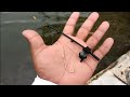 World's Smallest Fishing Rod Catches fish in OCEAN!