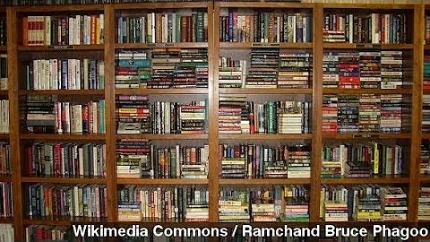 Google Books Wins Landmark Copyright Suit