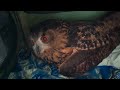 ジュニちゃん🦉のご報告です😀💖