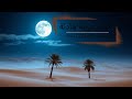 Peaceful Arabic Melodies أنغام عربية هادئة تريح الأعصاب 