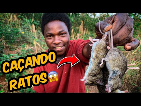 Vídeo: Os caçadores de ratos ainda existem?