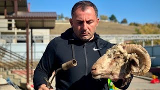 ГОЛОВЫ БАРАНА на КОСТРЕ. БЛЮДО - ОГОНЬ. ENG SUB