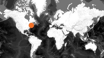 Aquaplot | Research Animation