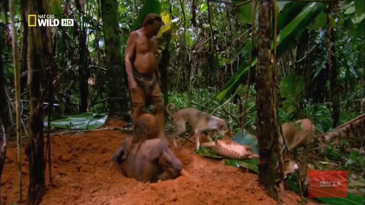 Дики люди видео. Дикая природа амазонки дикое царство. Человек в джунглях. Дикие племена джунглей амазонки.