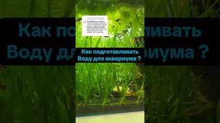 Подготовка воды для аквариума #аквариумистика #параметрыводы #рыбки