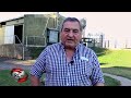 PRODUCCION LECHERA VS AGROCULTIVOS