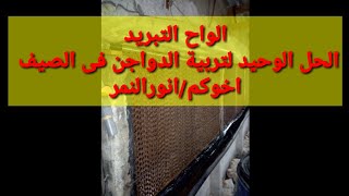 ازاي تشغل التبريد للفراخ